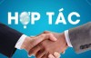 Chương trình hợp tác với chuyên gia Nhật Bản được TKV thông qua