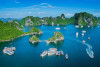 Ảnh minh họa: NQ(ST)