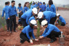 Hàng năm Đoàn Thanh niên TKV phát động và trồng mới hàng nghìn cây xanh nhằm xanh hóa môi trường sản xuất.