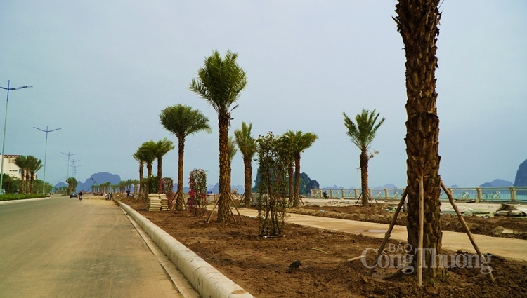 Dự án mở rộng đường Trần Quốc Nghiễn (TP. Hạ Long, tỉnh Quảng Ninh) sẽ hoàn thành trước ngày 30/4