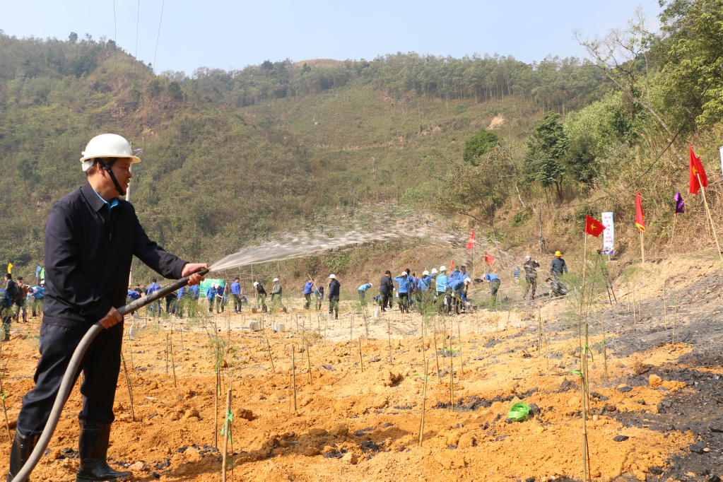 Ngay sau lễ phát động Tết trồng cây đời đời nhớ ơn Bác Hồ, 3.000 cây phi lao xanh đã được trồng tại mặt bằng +173, khu Đồng Vông (Công ty Than Uông Bí).