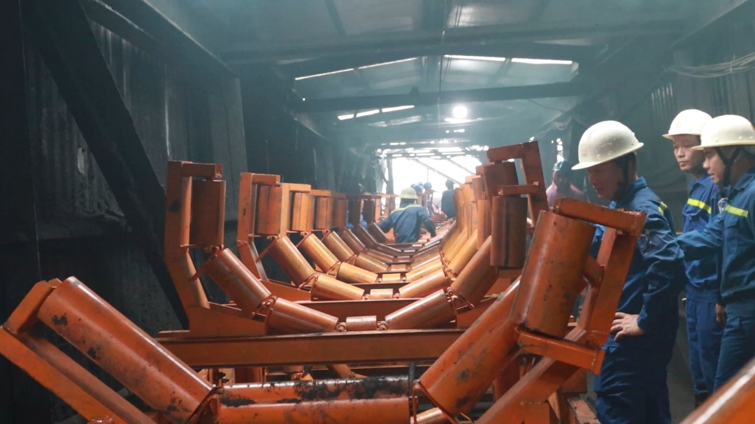 video bc hn nld px st mp4 snapshot 03 55 000