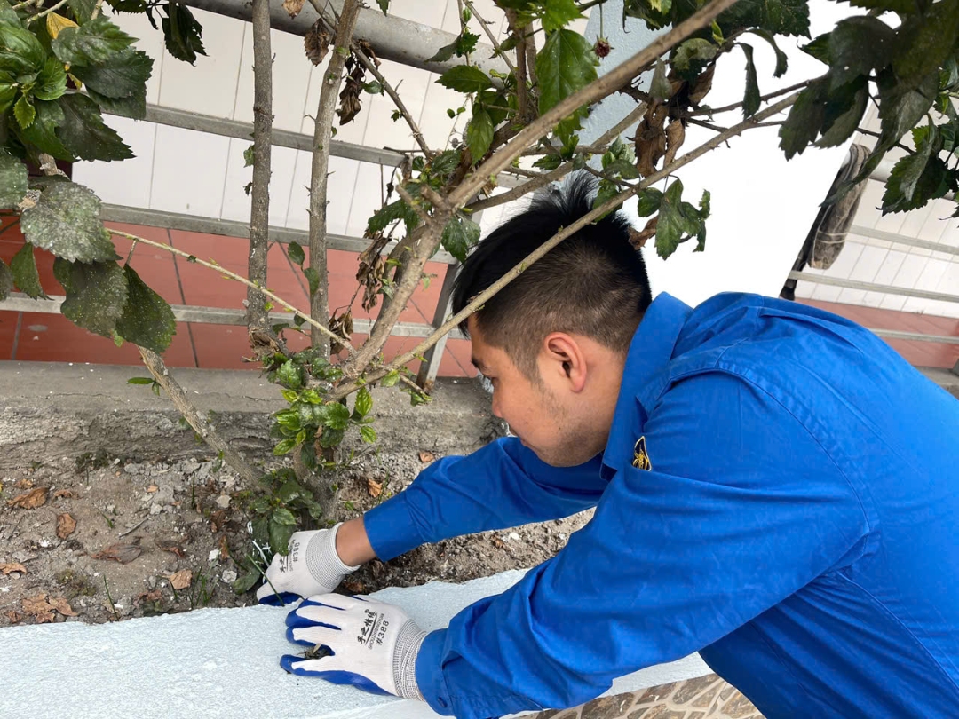 z7369849981960 fe232df454485c72efa6623922a59ce4