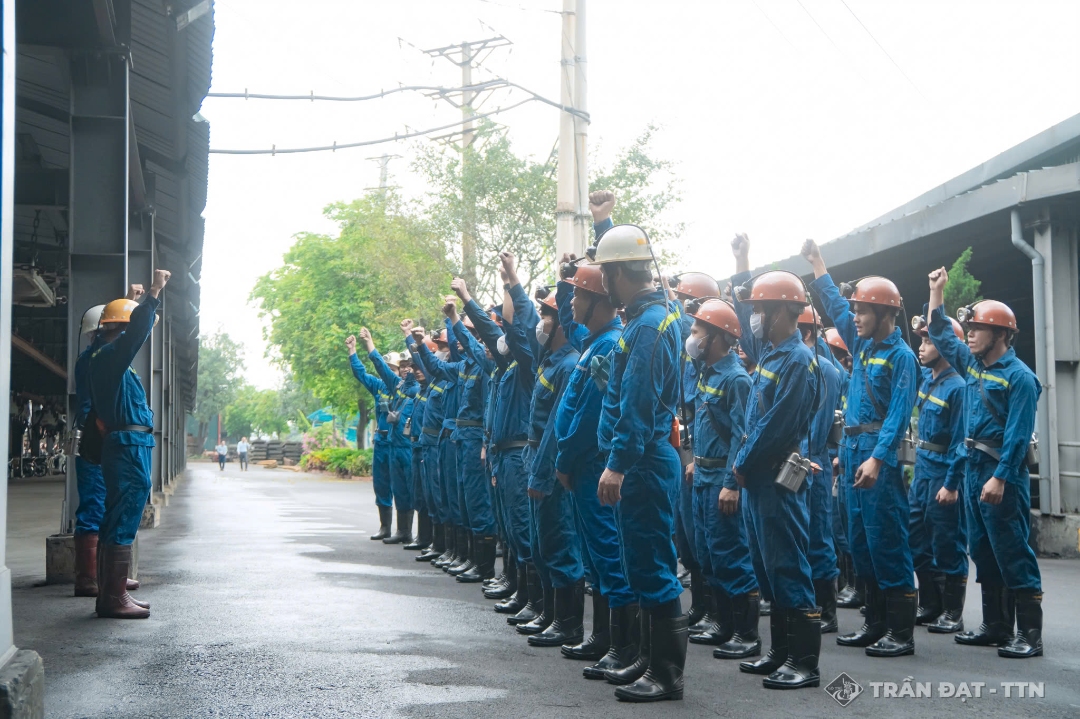 Ảnh: Trần Đạt